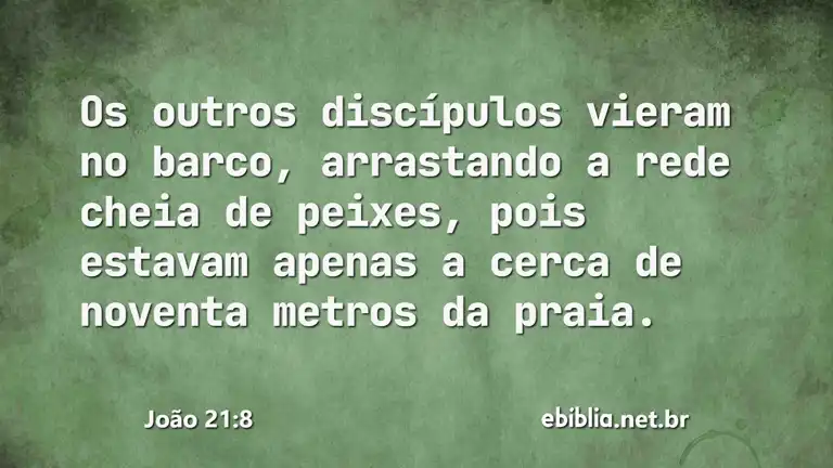 João 21:8