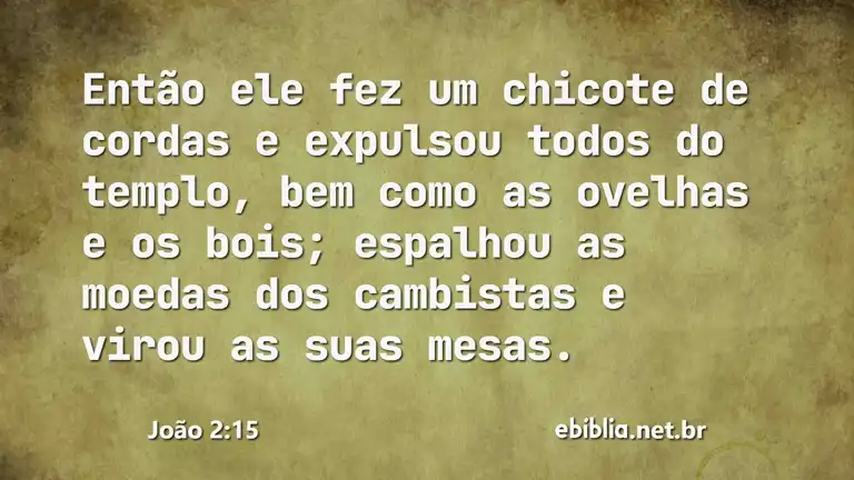 João 2:15