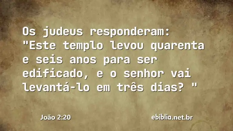 João 2:20