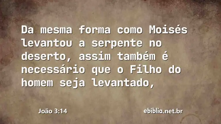 João 3:14