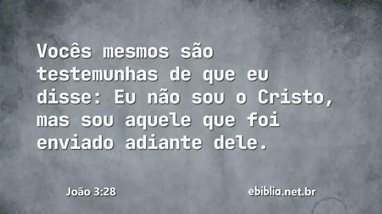 João 3:28