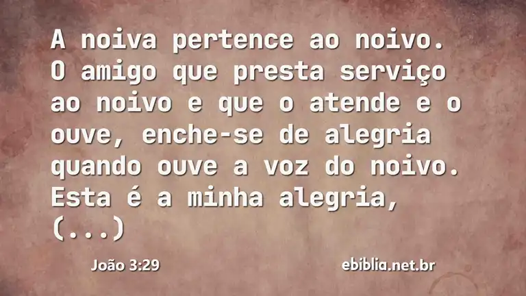 João 3:29