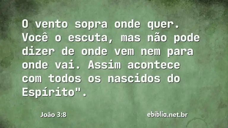 João 3:8