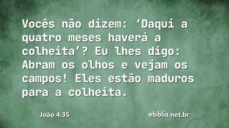 João 4:35