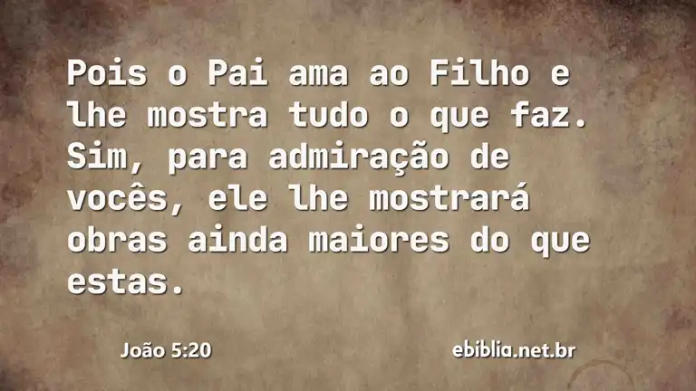 João 5:20