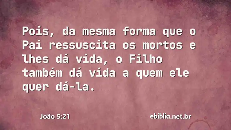 João 5:21