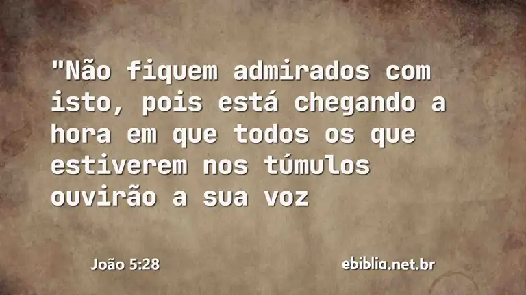 João 5:28