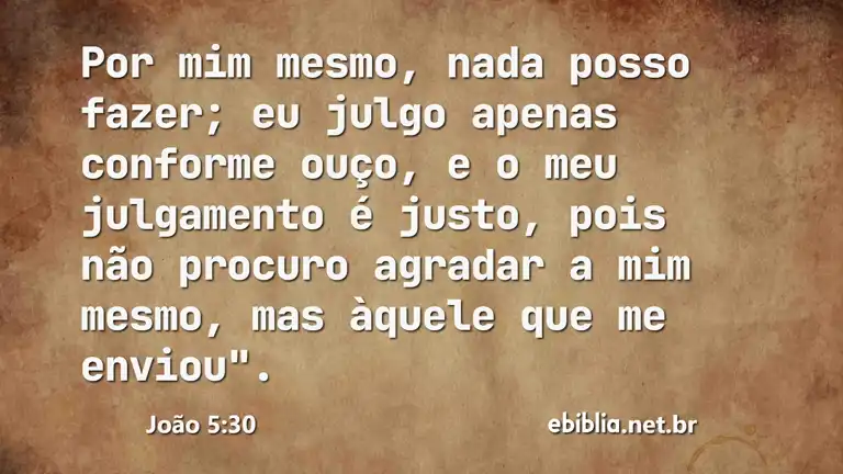 João 5:30