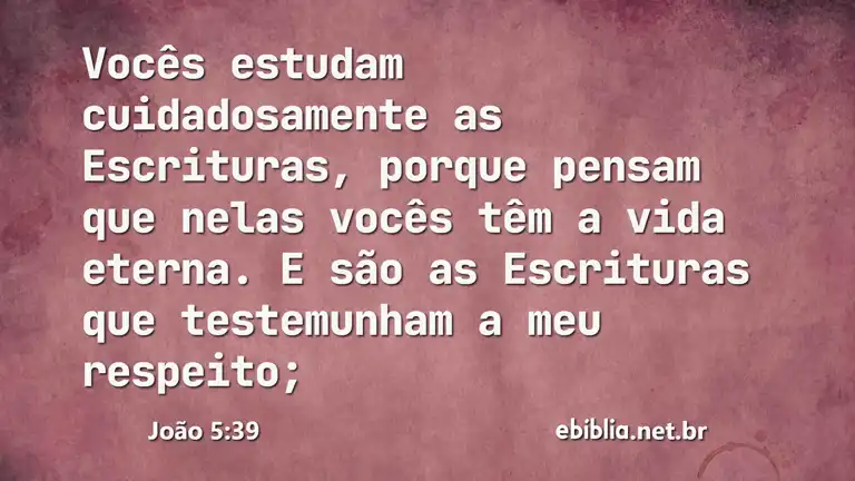 João 5:39