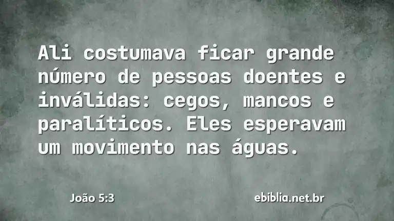 João 5:3