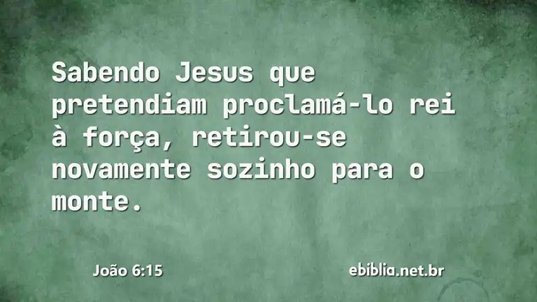 João 6:15