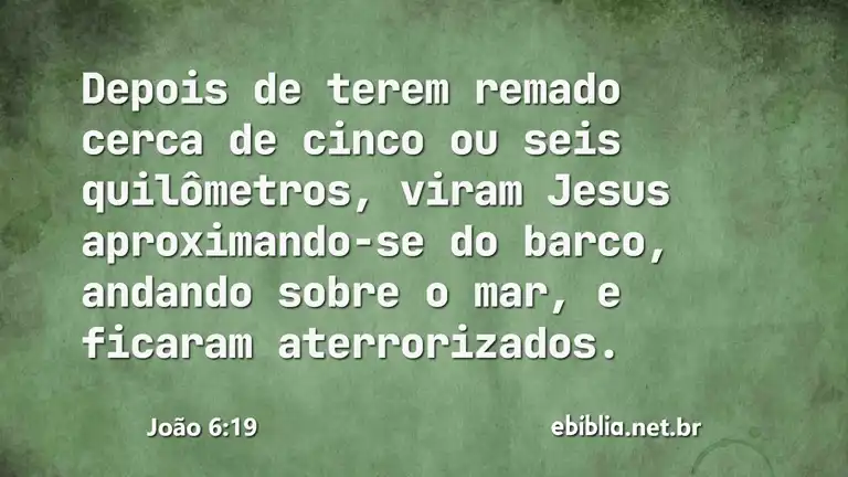 João 6:19