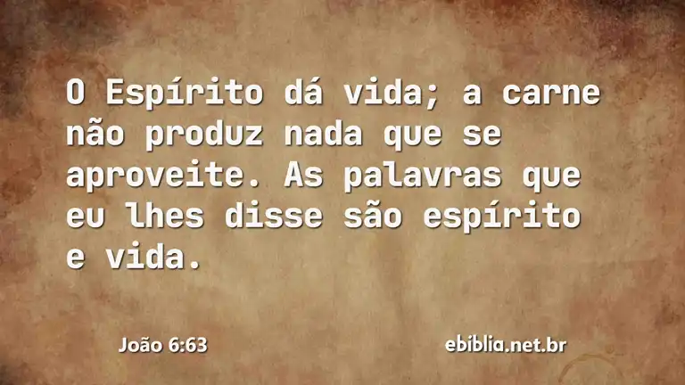 João 6:63