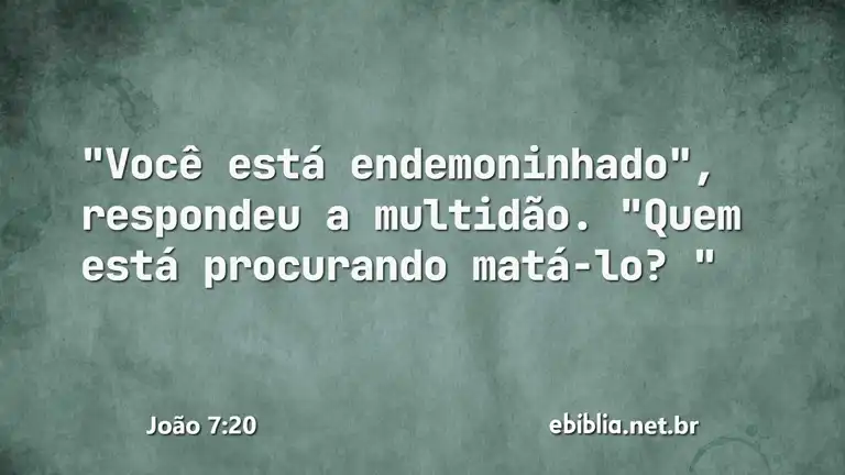 João 7:20