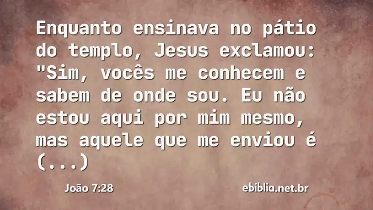 João 7:28