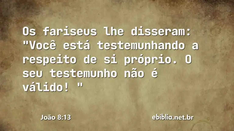 João 8:13