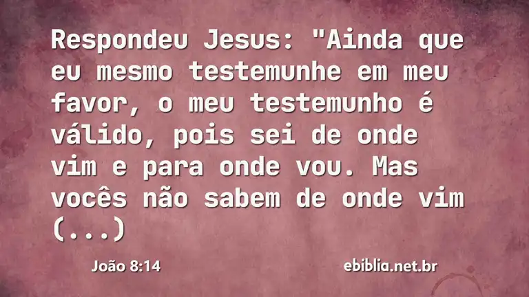 João 8:14