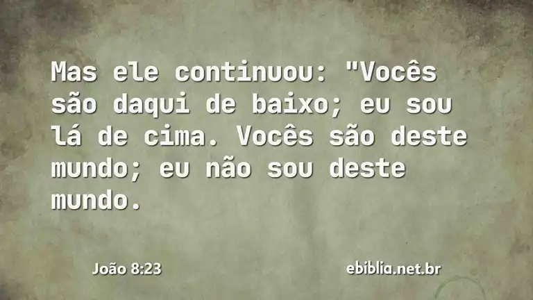 João 8:23