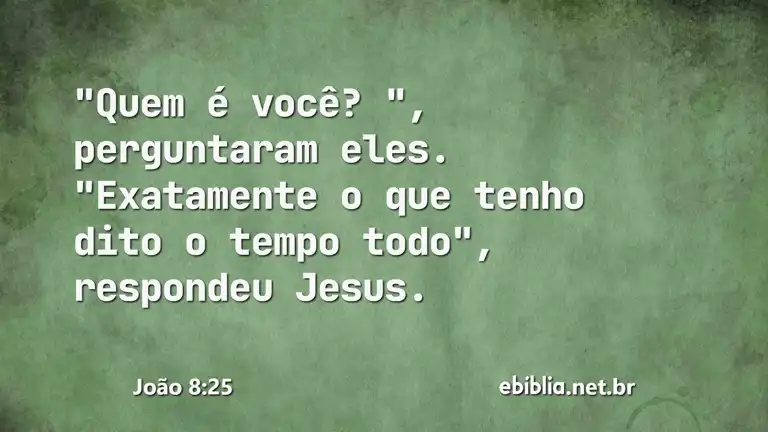 João 8:25