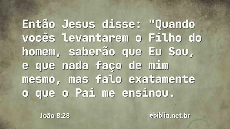 João 8:28