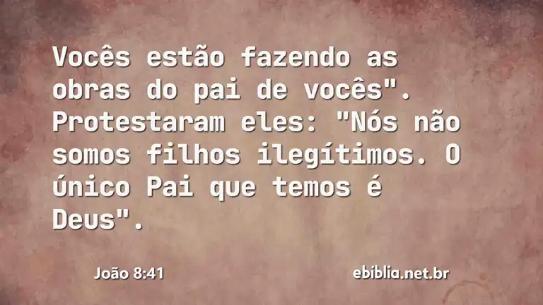 João 8:41