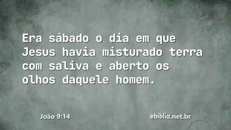 João 9:14