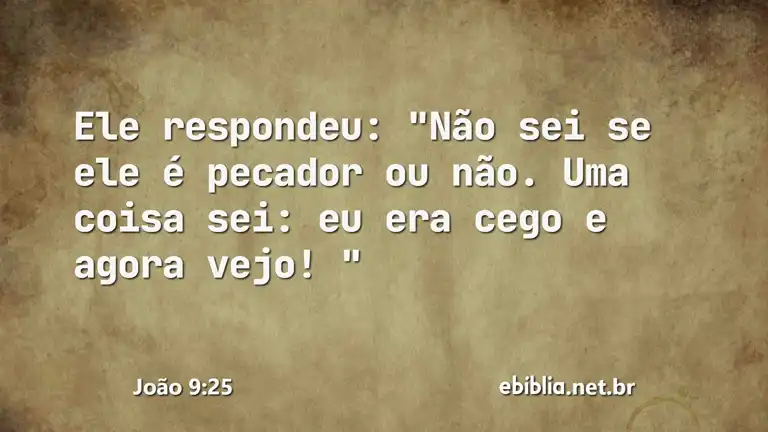 João 9:25