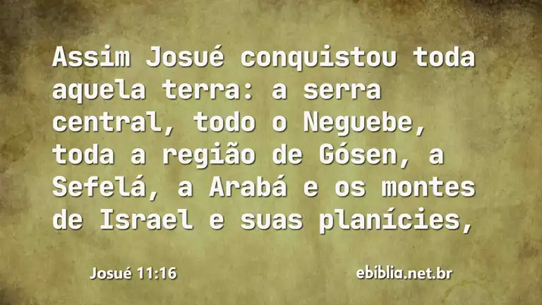 Josué 11:16