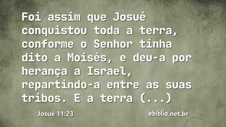 Josué 11:23