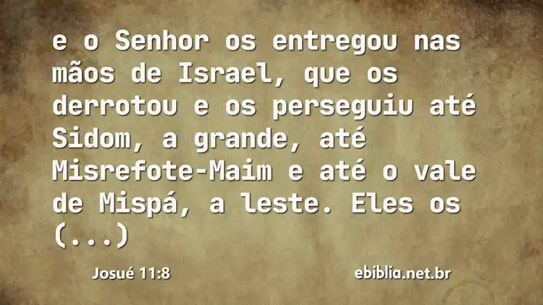 Josué 11:8