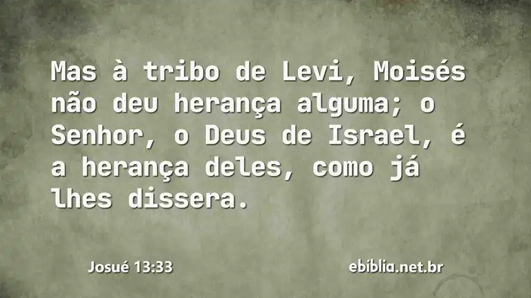 Josué 13:33