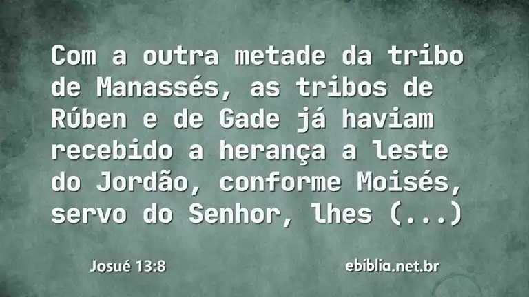 Josué 13:8