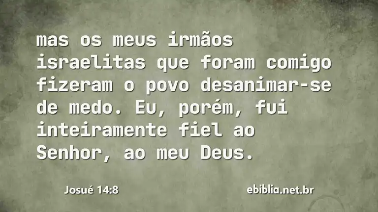 Josué 14:8