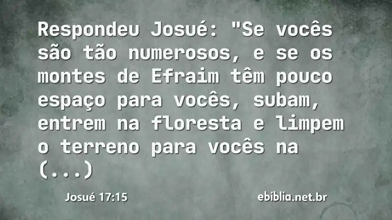 Josué 17:15