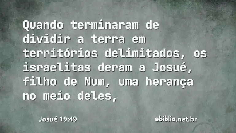 Josué 19:49