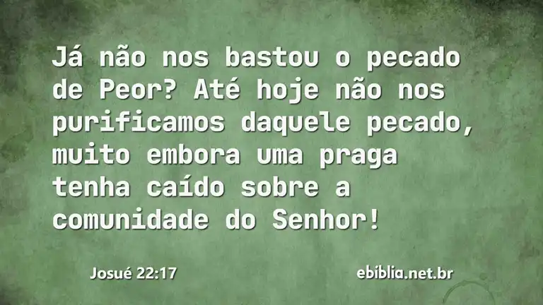 Josué 22:17