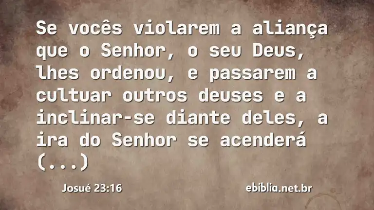 Josué 23:16