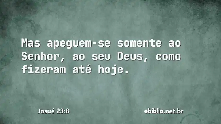 Josué 23:8