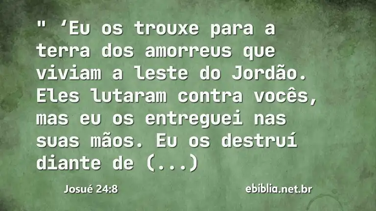 Josué 24:8