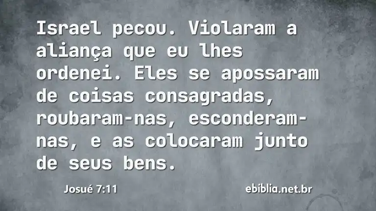 Josué 7:11