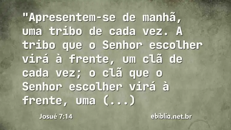 Josué 7:14