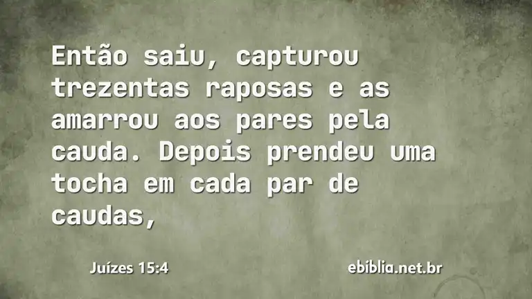 Juízes 15:4