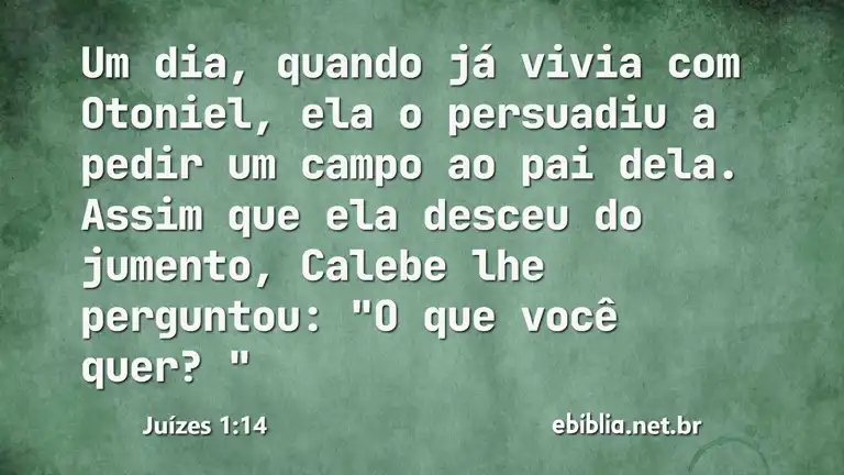 Juízes 1:14