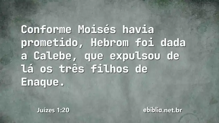 Juízes 1:20