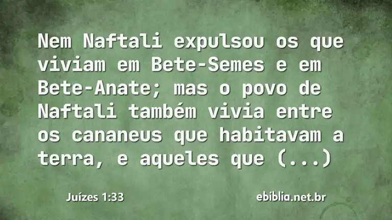 Juízes 1:33