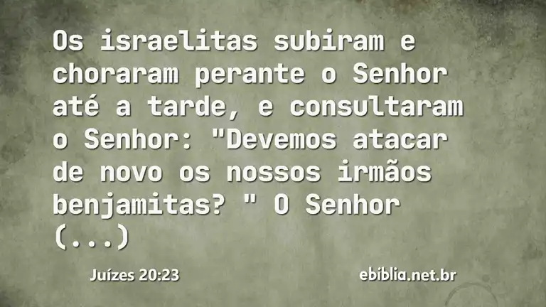 Juízes 20:23