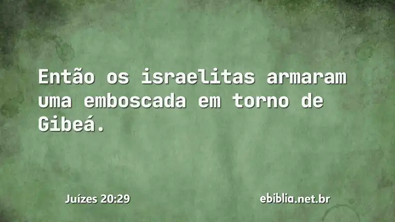 Juízes 20:29