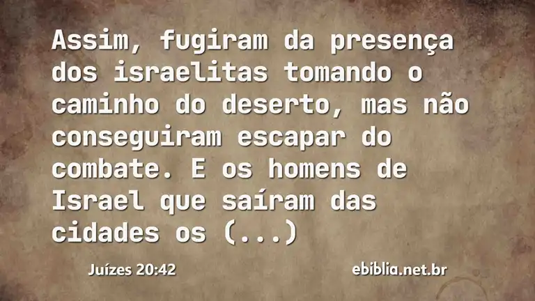 Juízes 20:42