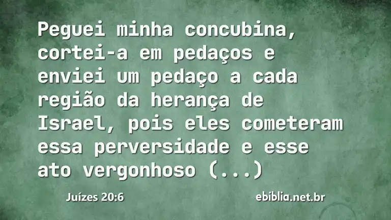 Juízes 20:6