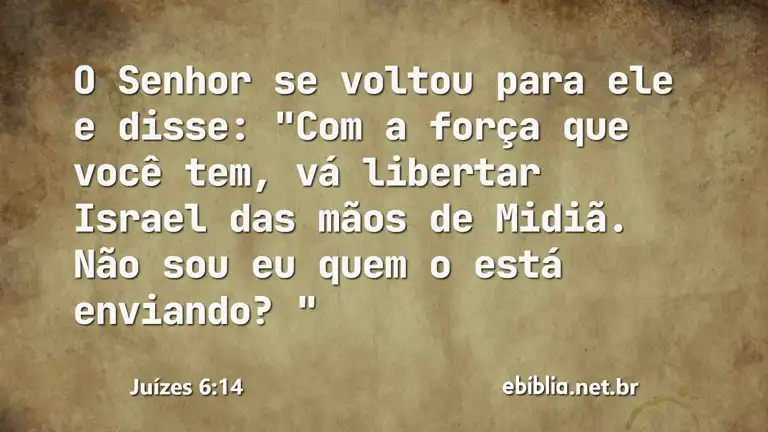 Juízes 6:14